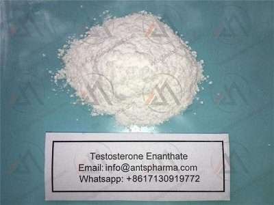 99 Testosterone Enanthate Powder 11