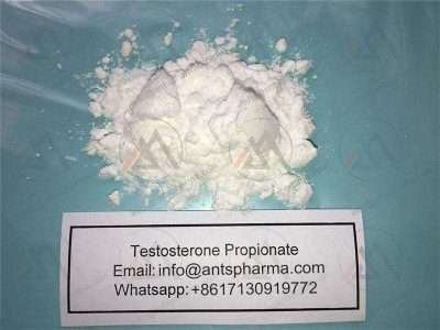 buy 99 testosterone propionate powder 11